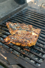 corte de res  T- bone.

T bone 

corte en el asador 

corte al carbón

manos cortando t- bone sobre tabla de madera. 