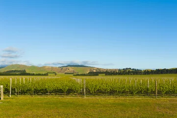 Rolgordijnen Winery of New Zealand © Fyle