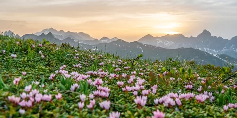 Frühling in den Bergen © Netzer Johannes