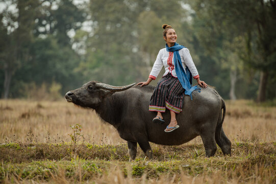 woman sitting on the back of a buffalo.