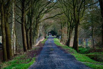 Naklejka premium walk in the park