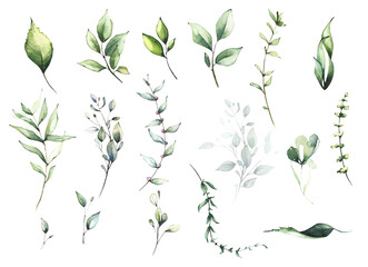 Watercolor greenery set of light green, turquoise, virid wild leaves, twigs and branches. Spring tender illustration.