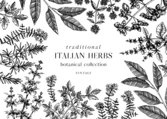 Vector banner design with  typical herbs and spices for Italian cuisine. Hand-sketched kitchen herbal plants background. Aromatic food cooking ingredients frame. Hand drawn herbs template © sketched-graphics
