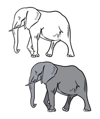 Illustration for a coloring book in color and black and white. Drawing of a elephant on a white isolated background. High quality illustration