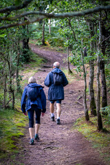 Randonneurs dans la forêt de Clecy en Suisse Normande dans le Calvados
