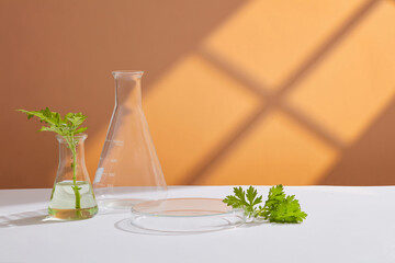 Seaweed snack decorated with water flower and fork in yellow table for food advertising 