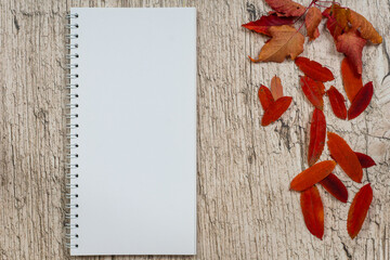 red rowan leaves and blank vertical notepad on light wooden table