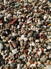 Wet stones of different colors shine beautifully in the sun