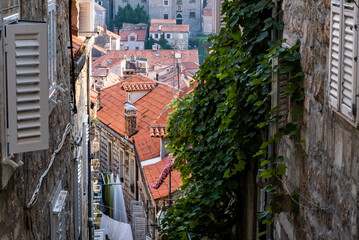 Narrow street with greenery in flower pots on the floor and the walls in Dubrovnik, Croatia