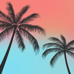Fototapeta na wymiar Silhouette Palm trees background