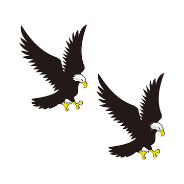 Flying bald eagle set icon logo illustration on white background	