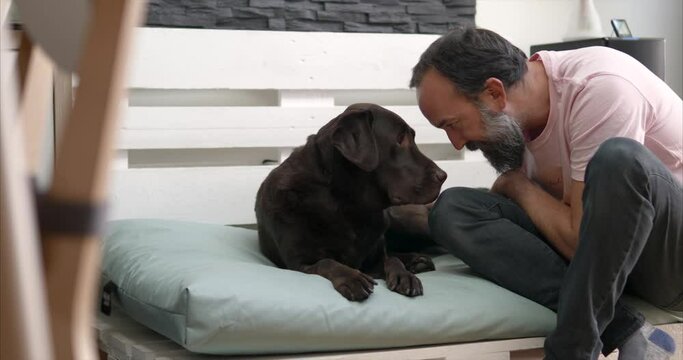 middle-aged bearded man playing with his labrador retriever dog at home