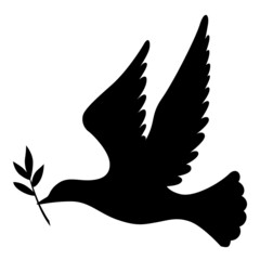 Dove with branch silhouette icon