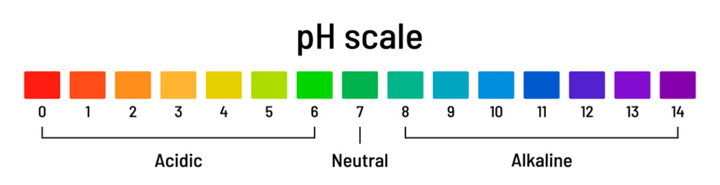 Ph scale chart. Diagram of acid and alkaline solutions on white background. Ph indicator acid-base balance, chemical analysis, vector illustration