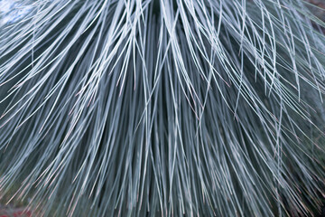 Abstract blue background from vertical inclined lines