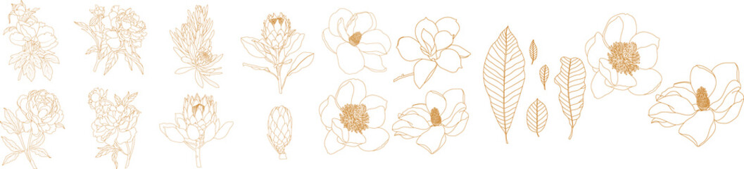 Set of graphical golden hand drawn summer, spring flowers. Vector.