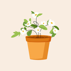 White flower growing in a pot. Spring dogwood flower isolated on white background. Potted plant icon. Vector flat illustration