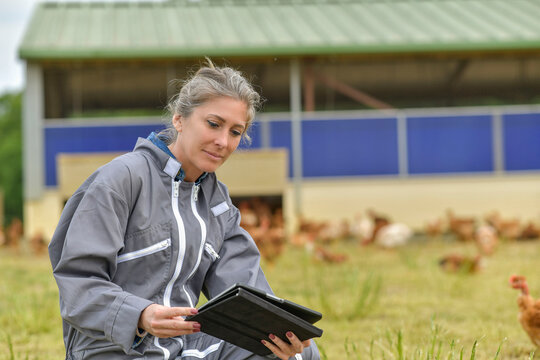 Breeder woman in field with hern in background