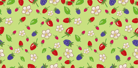 Seamless berry background texture with raspberries, blackberries, leaves and flowers, hand drawn, vector, pattern