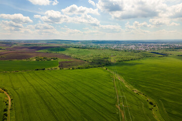 Fototapeta na wymiar Aerial landscape view of green cultivated agricultural fields with growing crops on bright summer day