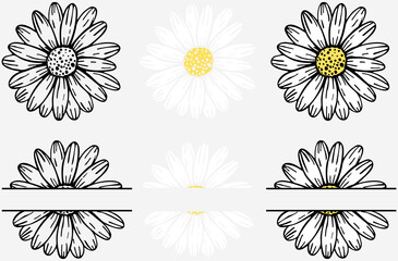 Vector hand drawn collection of daisy flower