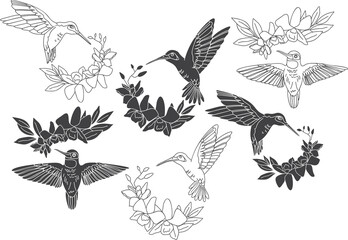 Vector Set of hummingbirds and orchid bouquets