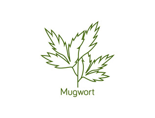 mugwort line art icon vector illustration 
