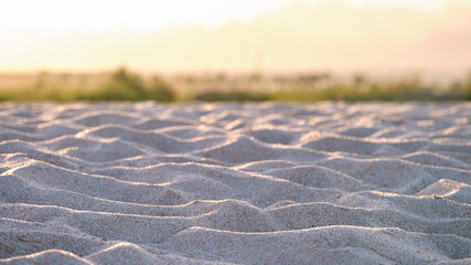 Close up of clean yellow sand surface covering seaside beach illuminated with evening light. Travel...