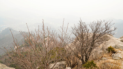 Climbing rocks, pine trees, scenery, and mountain silhouettes far away on a day with severe fine dust.