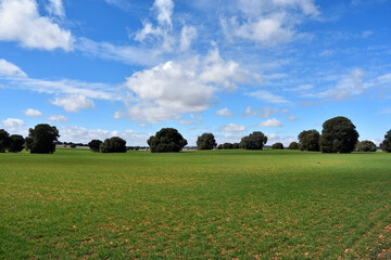 Primavera en La Mancha