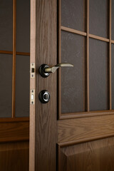 interior door, beautiful canvas, expensive fittings, made of natural veneer, door fittings