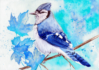 Watercolor illustration of a blue jay on a branch on a blue-purple background with blue autumn maple leaves