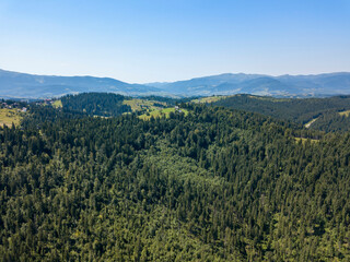Green mountains of Ukrainian Carpathians in summer. Sunny clear day. Aerial drone view.