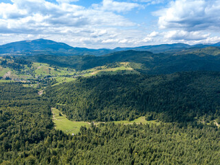 Obraz premium Green mountains of Ukrainian Carpathians in summer. Coniferous trees on the slopes. Aerial drone view.