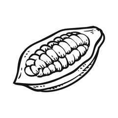 cocoa or chocolate fruit drawing