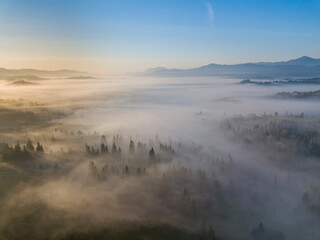 Obraz premium Morning fog in the Ukrainian Carpathians. Aerial drone view.
