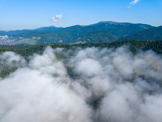 Morning fog in the Ukrainian Carpathians. Aerial drone view.