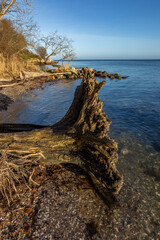 Denmark, Middelfart, 16.Dec. 2021 - Here from the beach, with bare trees, blue sky