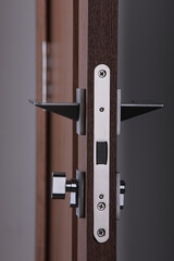 interior door, beautiful canvas, expensive fittings, made of natural veneer, door fittings