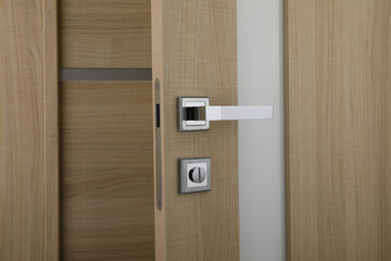 interior door, beautiful canvas, expensive fittings, made of natural veneer, door fittings