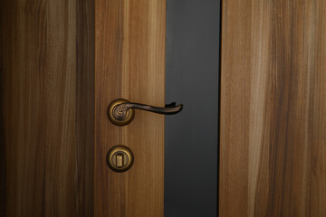 interior door, beautiful canvas, expensive fittings, made of natural veneer, door fittings