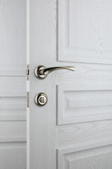 interior door, beautiful canvas, expensive fittings, made of natural veneer, door fittings