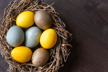Happy Easter concept. Yellow blue and brown Easter eggs in birds nest on wooden table. Top view. Copy space