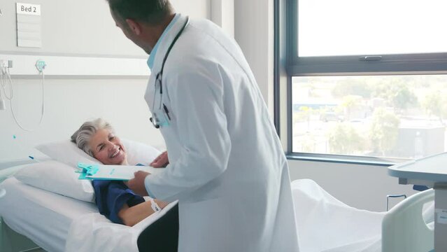 Professional friendly doctor meeting patient at hospital