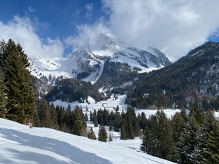 Fototapeta premium White blanket on alpine peak Wildhuser Schofberg (or Wildhuser Schafberg, 2373 m) in Alpstein mountain range and in Appenzell Alps massif, Unterwasser - Canton of St. Gallen, Switzerland (Schweiz)