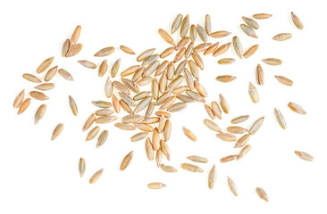 Pile of rye seeds isolated on a white background, top view. Heap of grains of rye malt.