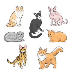 Fototapeta na wymiar Fanny cartoon cats in different poses. Domestic cats sleeping and walking, sitting and playing, happy and sad kitten vector icons on white background