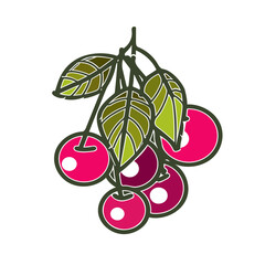 Illustration of Cherry Branch