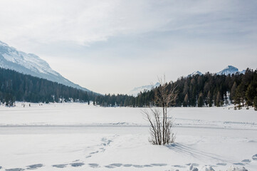 St. Moritz, Stazersee, Bergsee, Stazerwald, Winter, Winterwanderung, Wintersport, Alpen, Oberengadin, Graubünden, Schweiz