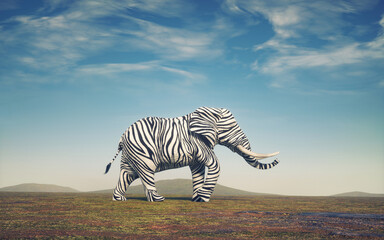 Elephant with zebra skin. - obrazy, fototapety, plakaty